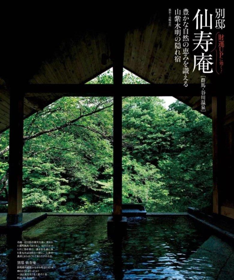 雏菊花园逃生